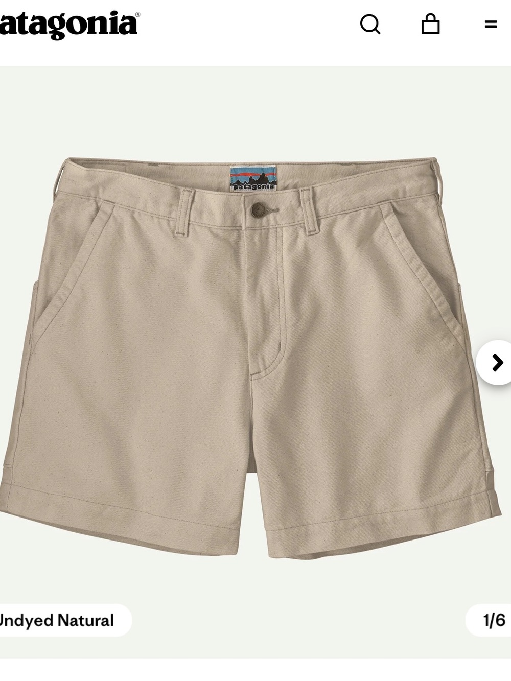 Patagonia Men's Heritage Stand Up® Shorts 36
